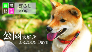 犬と過ごすかわいい休日【猫派の再発見】