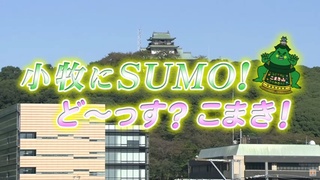 「小牧にSUMO！どーっす？こまき」