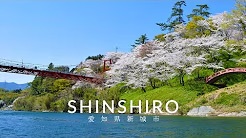 SHINSHIRO